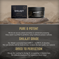 Himalayan Shilajit Resin UK